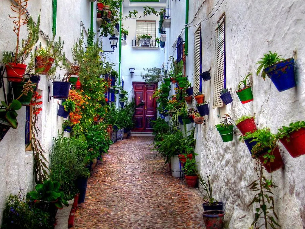 El Patio Dona Julia Διαμέρισμα Casares Ισπανία