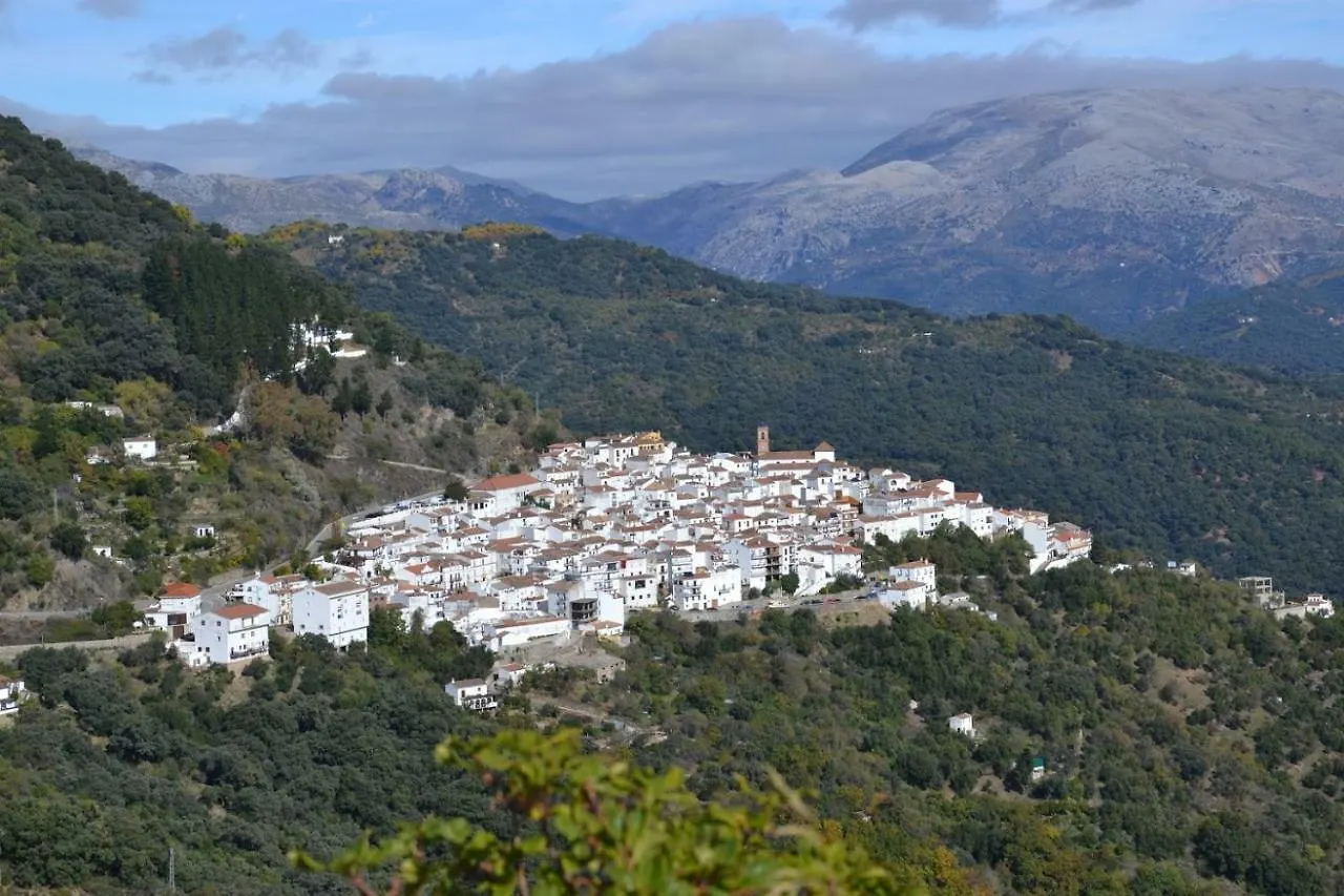 El Patio Dona Julia Διαμέρισμα Casares